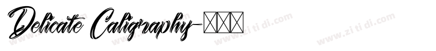 Delicate Caligraphy字体转换